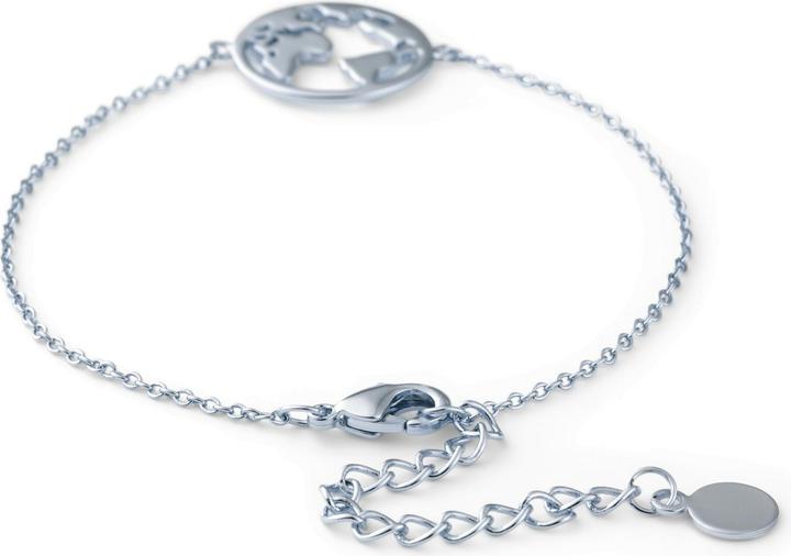 Immagine prodotto Heideman Mappa del mondo lucidata (100% acciaio inossidabile)