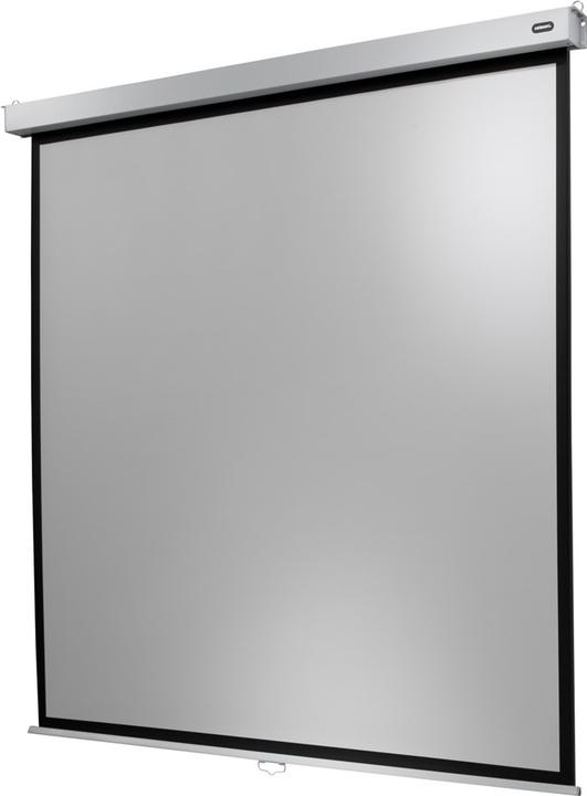 Immagine prodotto Celexon Tela arrotolabile Professional Plus 240x240 cm 1:1 (133.46", 1:1)