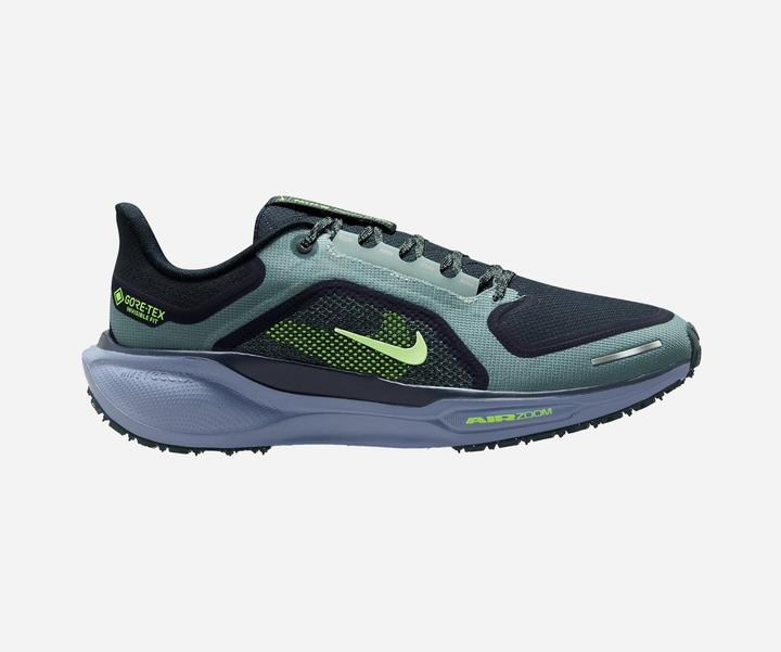 Produktbild Nike Pegasus 41 GORE-TEX (43)