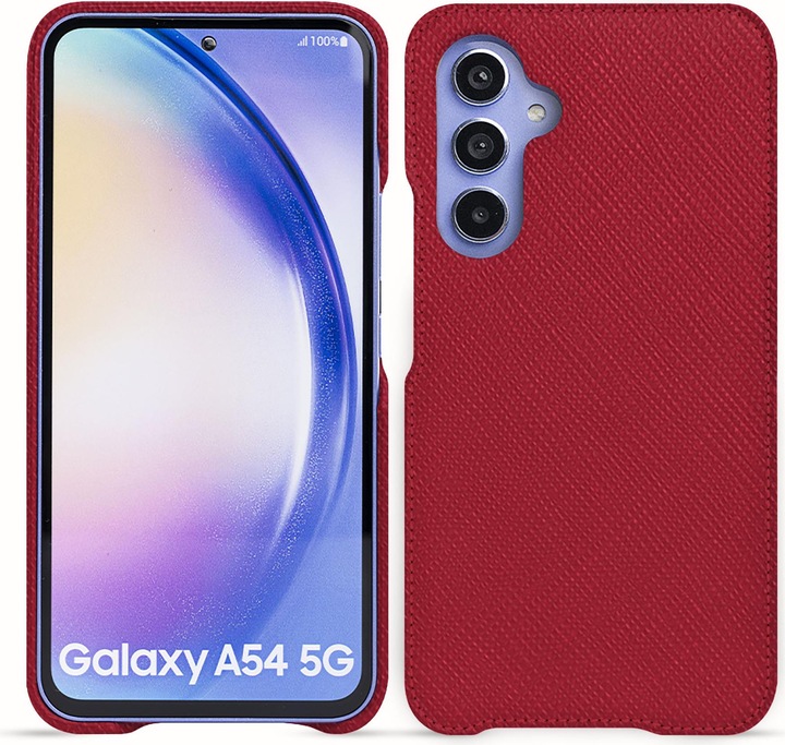 Rouge passion ( Pantone #a6192e )