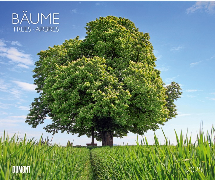 Image du produit Arbres 2025 - Calendrier mural 60x50 cm - Reliure à spirale (50 x 60 cm, Couverture rigide, Allemand)