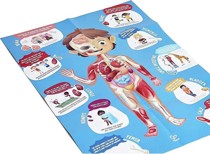 Produktbild Hape Mein Körper (60 Teile)