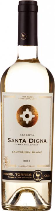 Actual product image Torres Sauvignon Blanc Reserva Santa Digna - Miguel (2023)