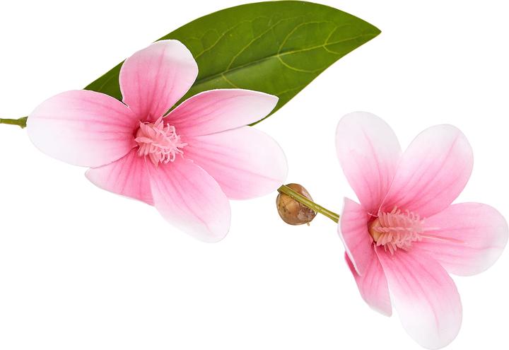Produktbild Beliani Magnolia Tree (128 cm)