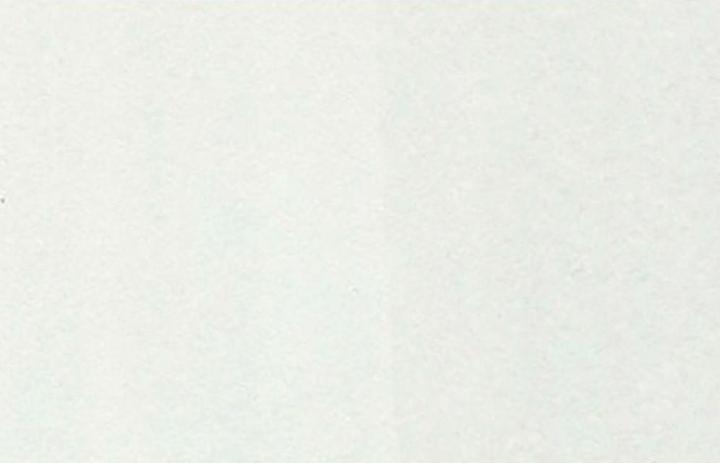 Actual product image Copic Sketch type C - 00 (1x)