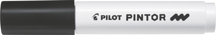 Actual product image Pilot Pintor Wide (1x)