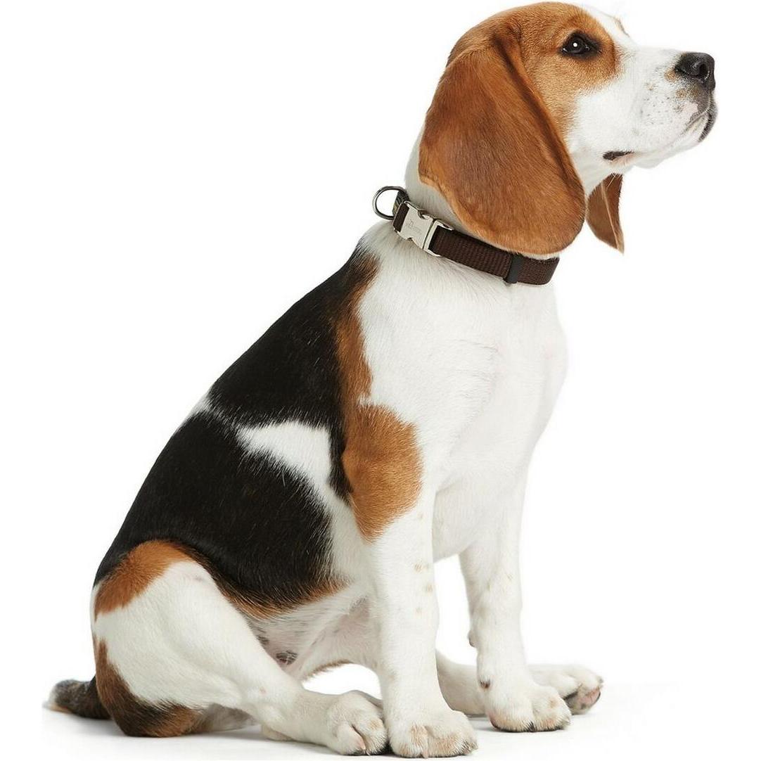 Thumbnail - Hunter Halsband Vario-Basic ALU-Strong Nylon (S, Hund), Halsband + Leine