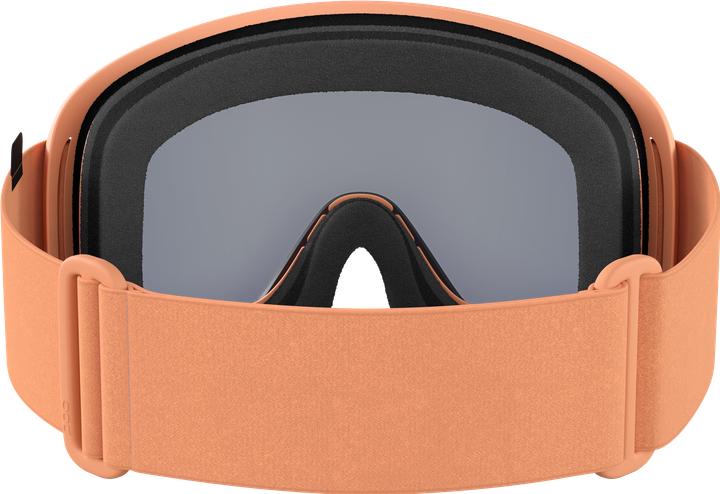 Actual product image Poc Opsin Allround Goggles