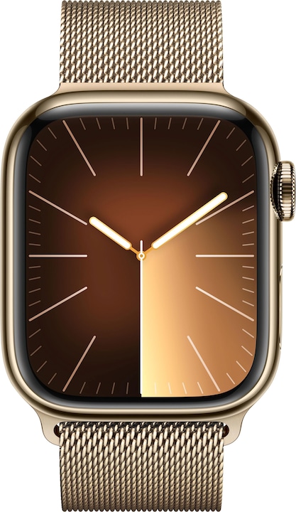 Image du produit Apple Bracelet milanais (41 mm, Acier inoxydable, Apple Watch Series 9)