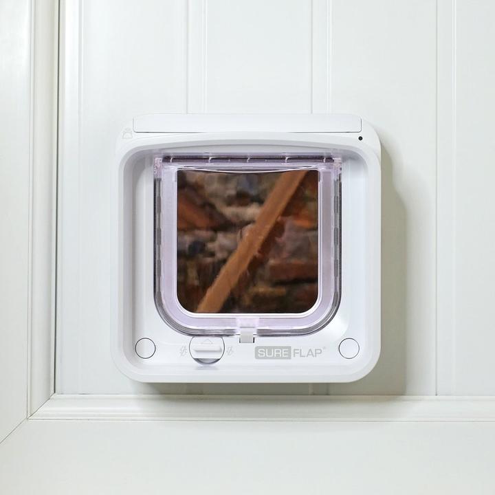 Actual product image SureFlap Sfidscfwtb1 (Microchip Cat Flap)