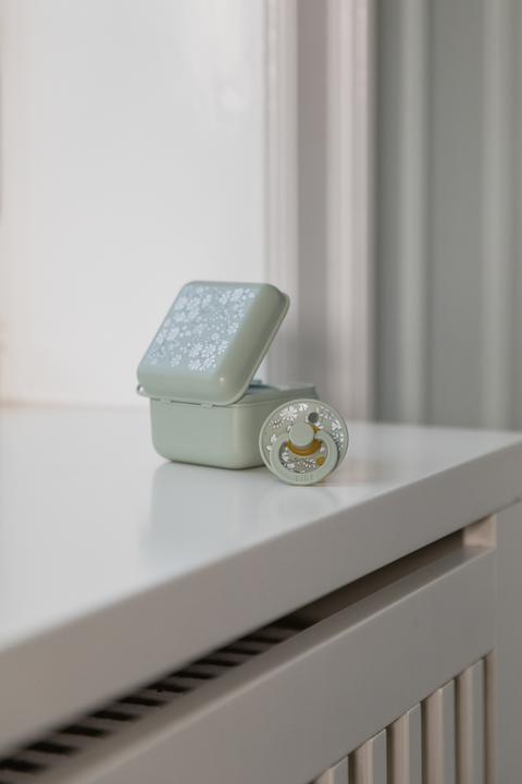 Produktbild Bibs x Liberty Nuggi Box Capel Sage (1 x)