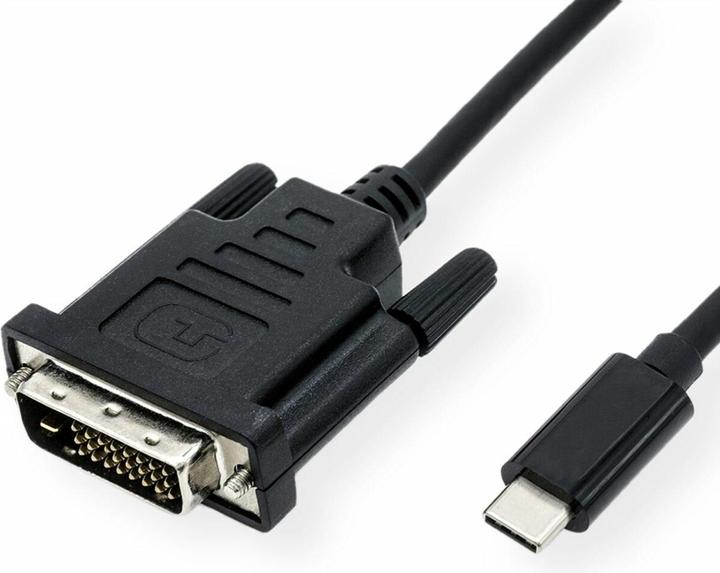 Actual product image Roline Dvi - USB C (1 m)