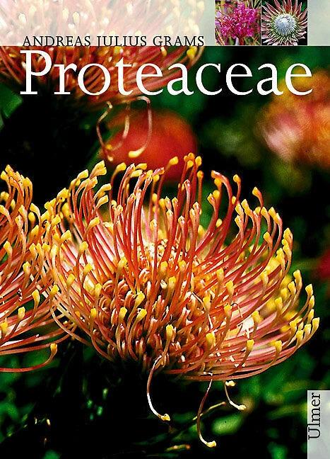 Produktbild Proteaceae (Deutsch, Eugen Ulmer, 2002)