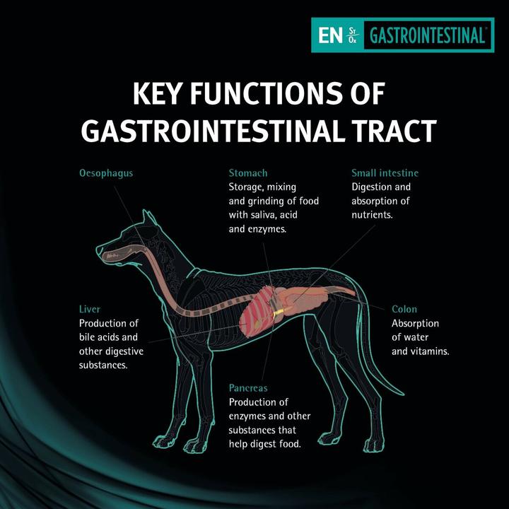 Produktbild Pro Plan Veterinary Diets EN Gastrointestinal 12 kg (Adult, 1 Stk., 12000 g)