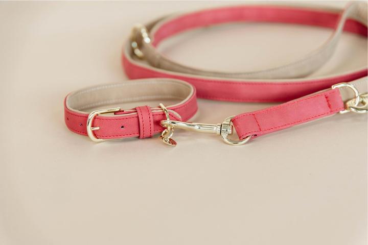 Produktbild Kentucky Dogwear Hundeleine Vegan Leather (Hund)