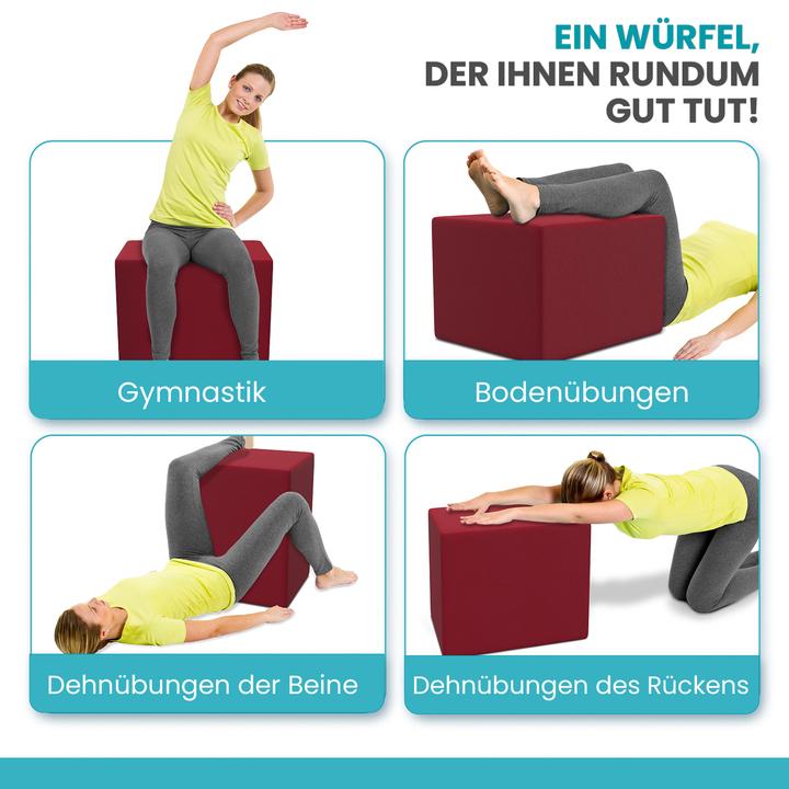 Produktbild Aktivshop Bandscheibenwürfel