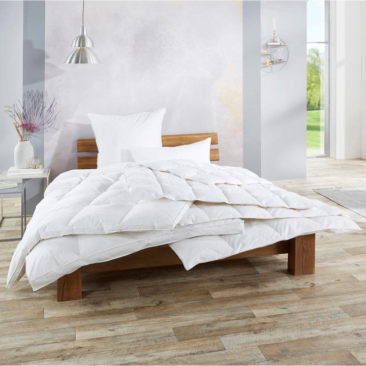 Image du produit Redbest Minneapolis (960 g, Duvet, 155 x 200 cm)