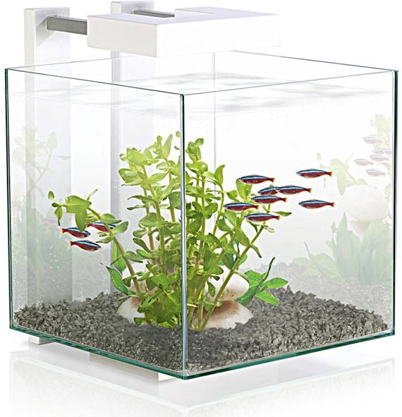 Produktbild Ciano Ligh Unit CLA20 LED mit Trafo (LED, 1.50 W)