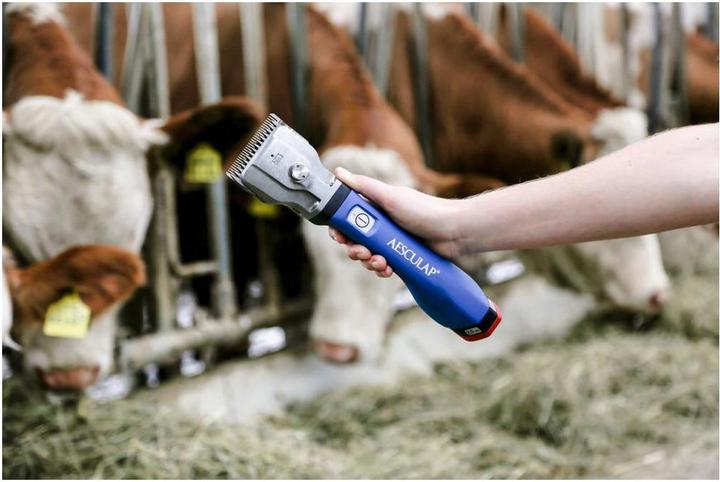 Actual product image Kerbl Cordless clipper Bonum cattle, 1 battery, blue (Vault)