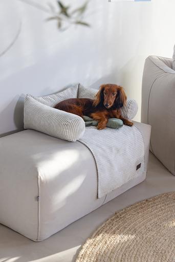 Actual product image Designed by Lotte Ribbed (Dog)