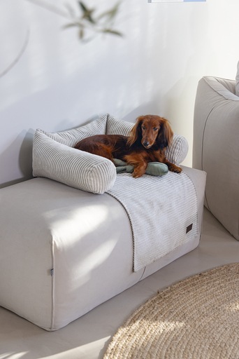Produktbild Designed by Lotte Ribbed (Hund)