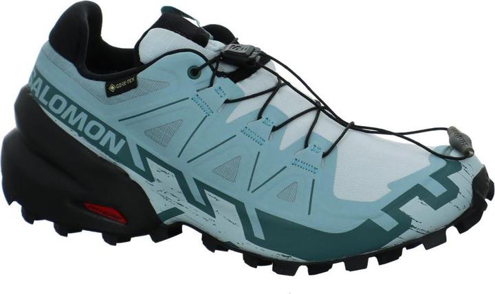 Actual product image Salomon Speedcross 6 GTX - 68435 (38)