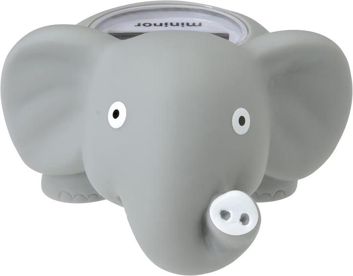 Actual product image Mininor Bath thermometer