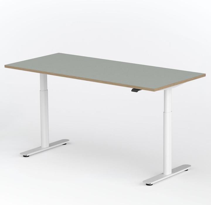 Immagine prodotto ofinto Rise, mit Kabelmanagement-System