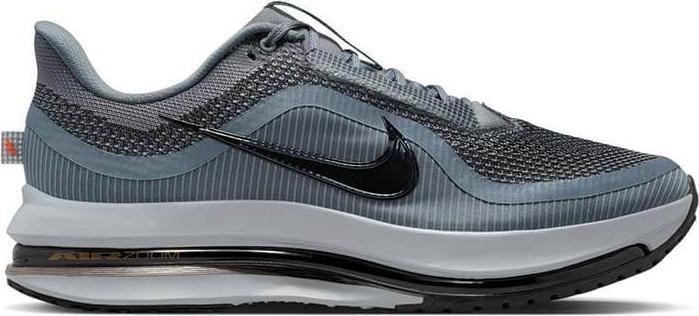 Image du produit Nike Pegasus Premium Cool Grey (43)