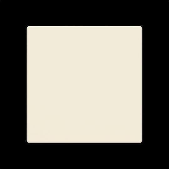 Busch-Jaeger, Zubehör Schalterprogramm, Abdeckung