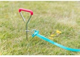 Actual product image Trixie Anchor peg (40, Dog, General)