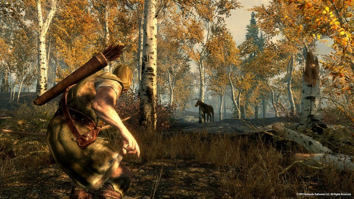 Image du produit Bethesda The Elder Scrolls V : Skyrim (Xbox One S)