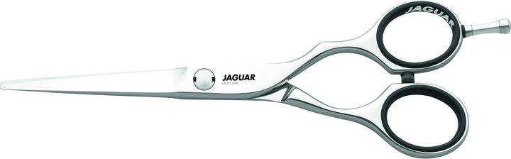 Produktbild Jaguar Diamond hochglanz (15.24 cm)