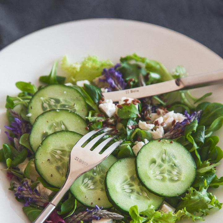 Image du produit Sola Avantgarde (24 pcs, Set de couverts)