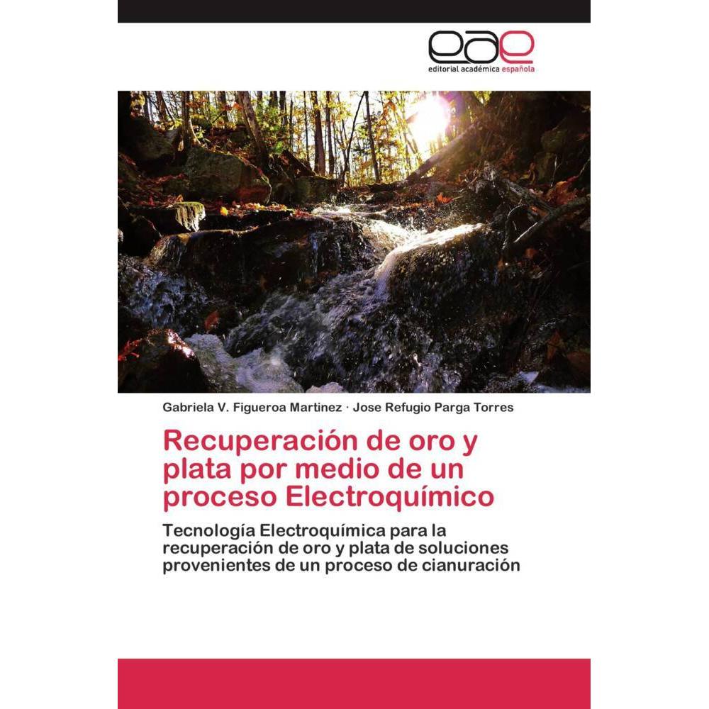 Recuperación de oro y plata por medio de un proceso Electroquímico, Fachbücher von José Refugio Parga Torres, Gabriela V...
