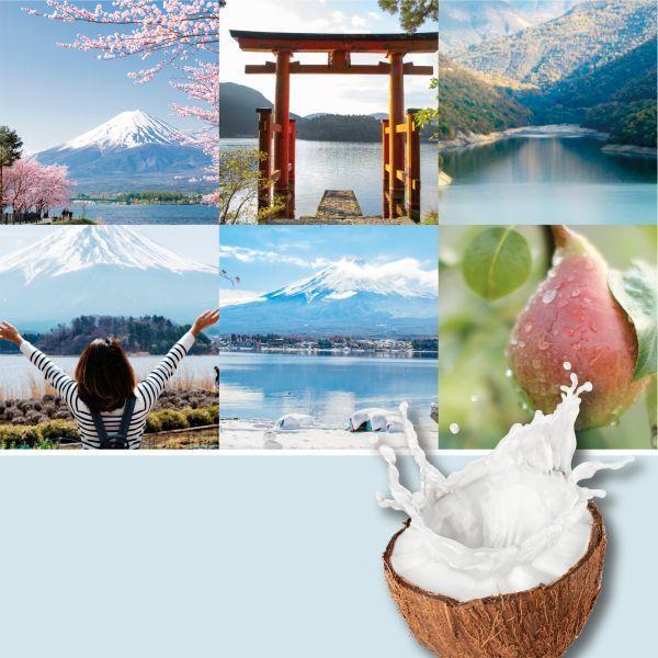 Actual product image Yankee Candle Majestic Mount Fuji (411 g)