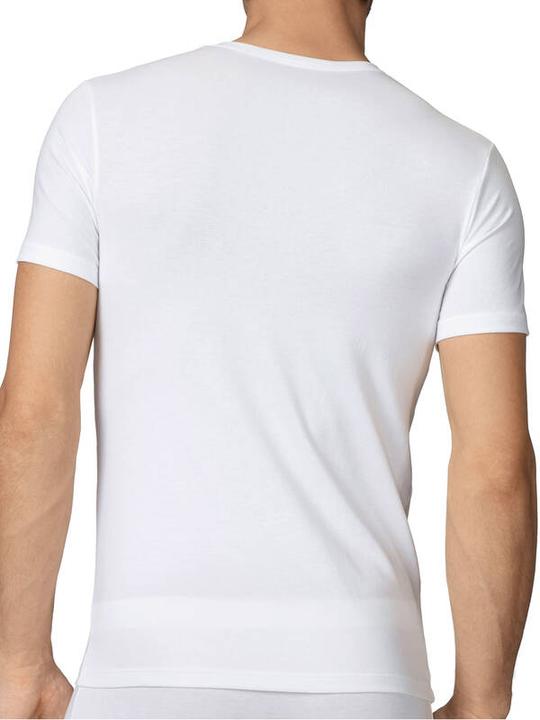 Actual product image Calida Evolution (L)