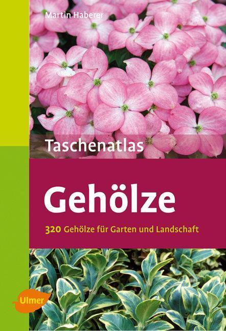 Produktbild Taschenatlas Gehölze (Deutsch, Martin Haberer, 2009)