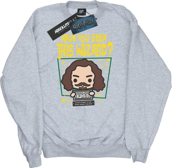 Sirius Black Azkaban Junior Sweatshirt (XL)