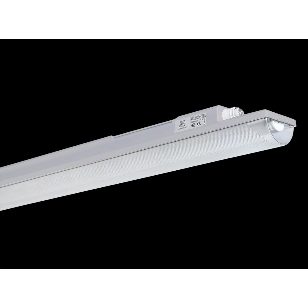 Dotlux, Wandleuchte + Deckenleuchte, 4773-040050 LED-Feuchtraumleuchte HIGHFORCEnarrow IP66/IP69 1455mm 54W 4000K IK06 2...