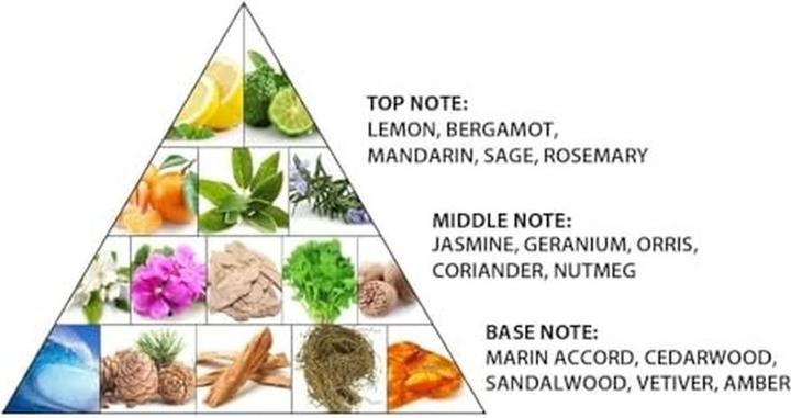 Actual product image Al Haramain Shams For Men Parfum Oil Mini (Extrait De Parfum, 12 ml)