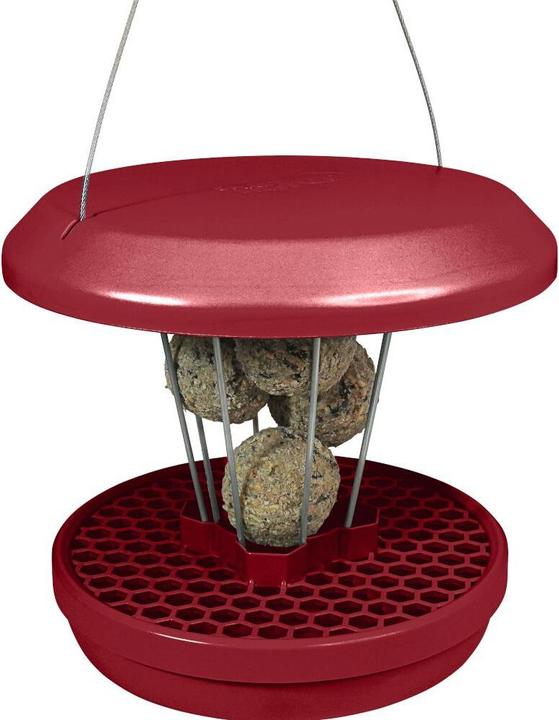 Productafbeelding Swissinno Vogel-Futtersilo Lucerne burgundy SMART BIRDS