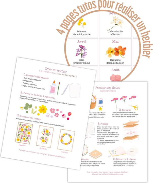 Actual product image Exacompta Agenda Eurotime 22 S Chemin des Marettes