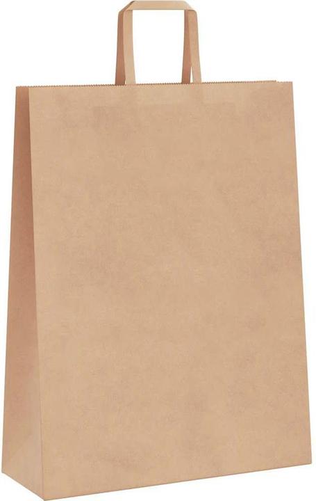 Image du produit vidaXL Papiertragetasche (50x)