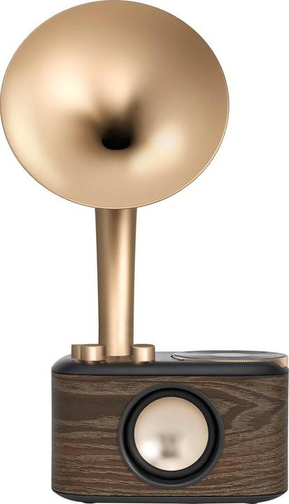 Image du produit Sangean WR-45X Gold Radio VHF (FM) AUX, Bluetooth Oplaadbaar Zwart, Goud (FM, VHF, Bluetooth)