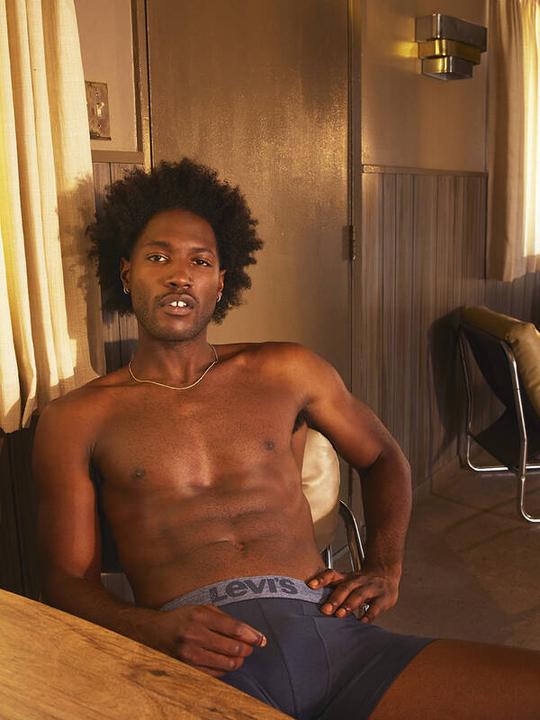 Actual product image Levis 2erPack BoxerBrief Organic Cotton (M, pack of 2)