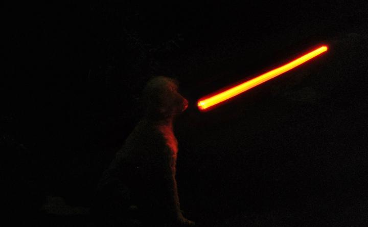 Image du produit The Monster Factory Laisse pour chien Dark Vador (Chien)