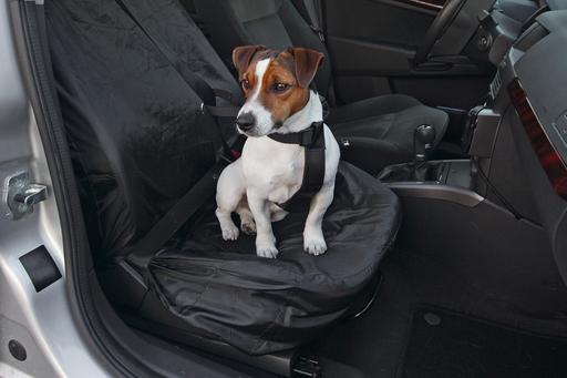 Produktbild Karlie Cover-up (Hund)