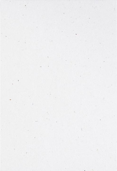 Produktbild Artoz Green Line Bogen A4 birch (A4, 118 g/m²)