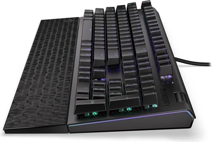 Actual product image Endorfy Omnis keyboard USB QWERTY Black (US, Cable)